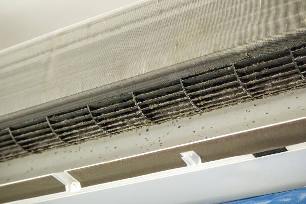 Best HVAC Air Duct Cleaning  in Knox, PA